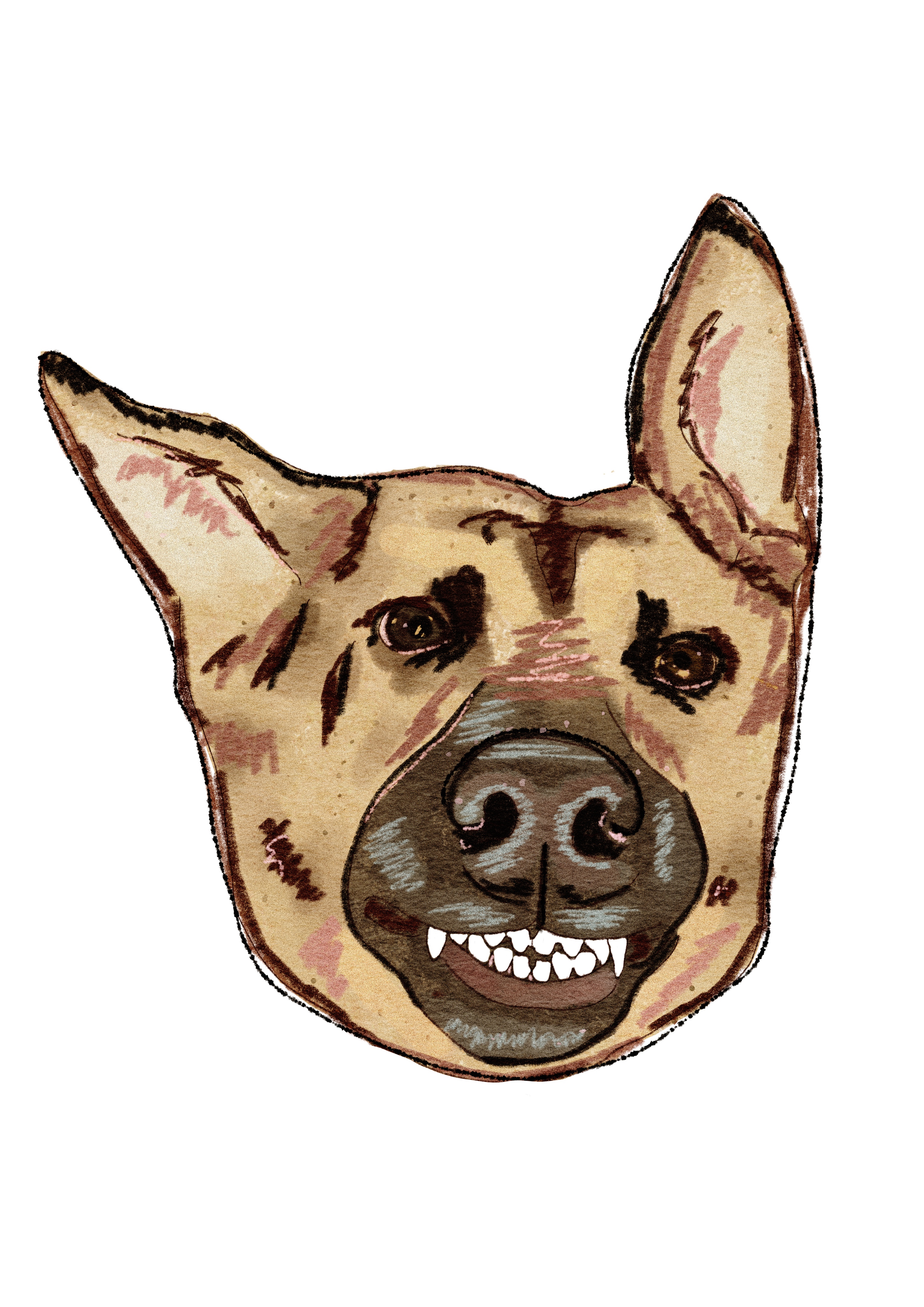 Illustration 10