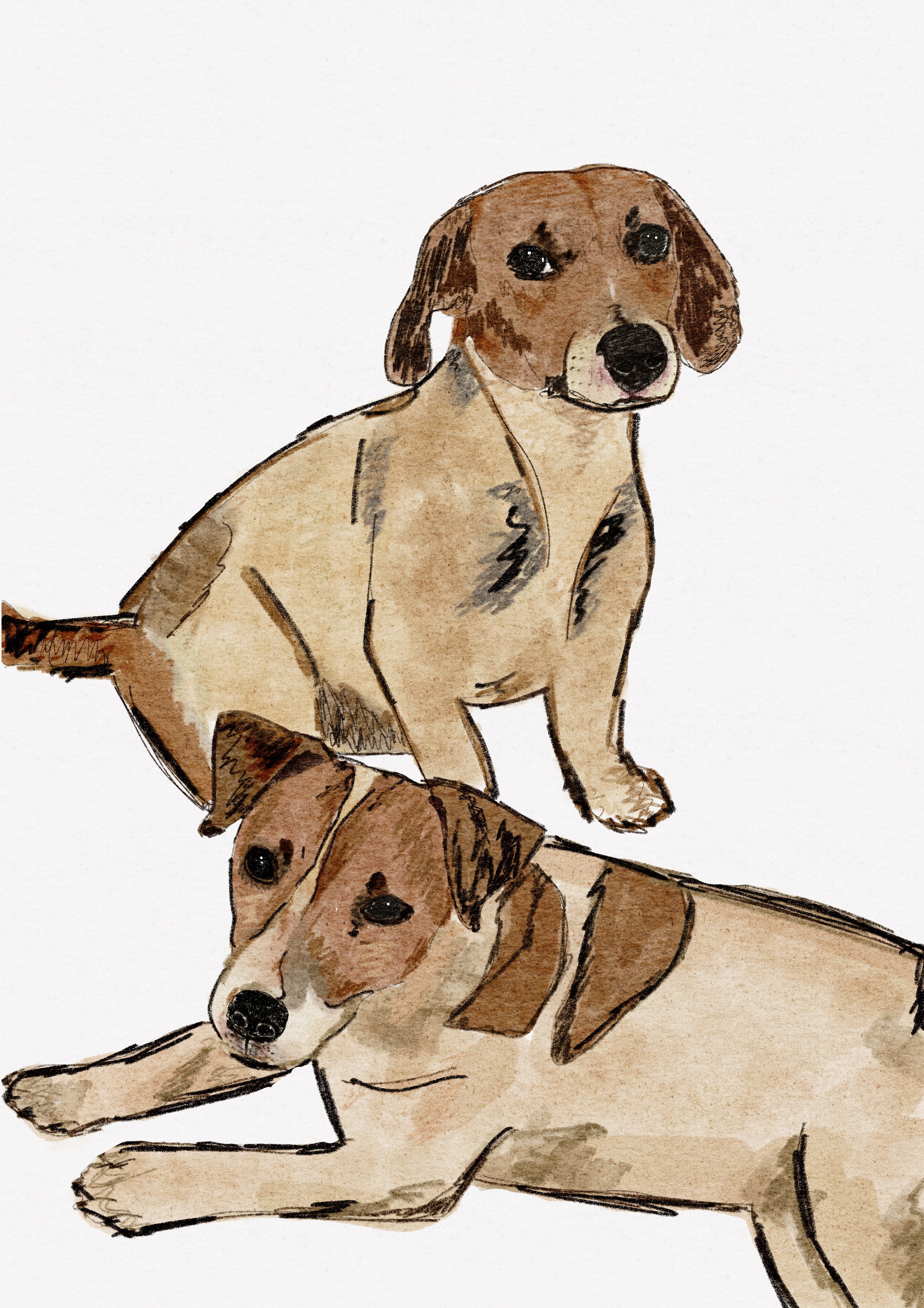 Illustration 11
